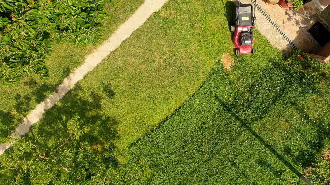 Aerial view of a freshly mowed lawn